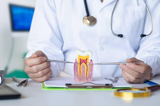 Best Emergency Root Canal Therapy in Millers Creek, NC